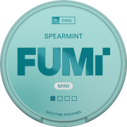 FUMi Spearmint Mini Regular