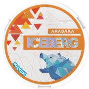 ICEBERG Arasaka Medium