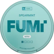 FUMi Spearmint Mini Regular